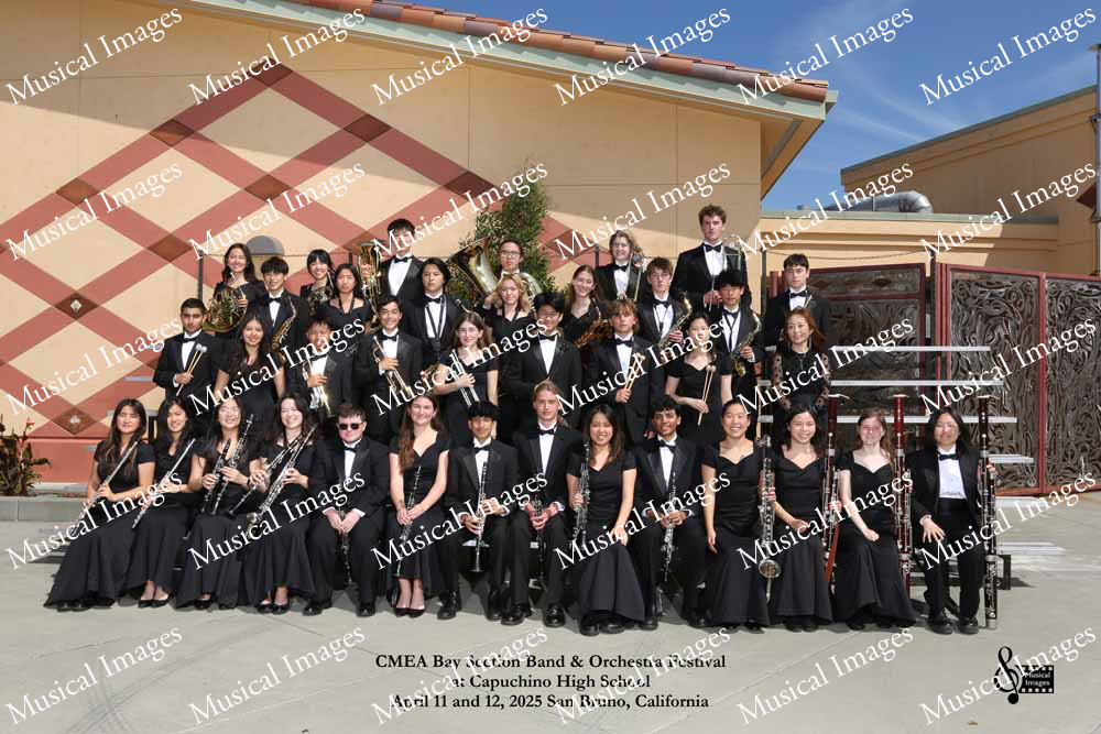 Musical Images